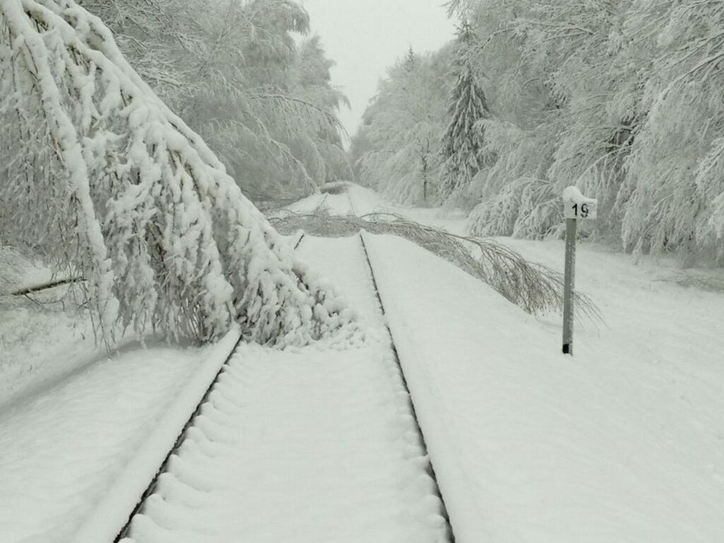 Поезд из Петербурга в Брест задерживается на 1,5–2 часа — в чем причина?