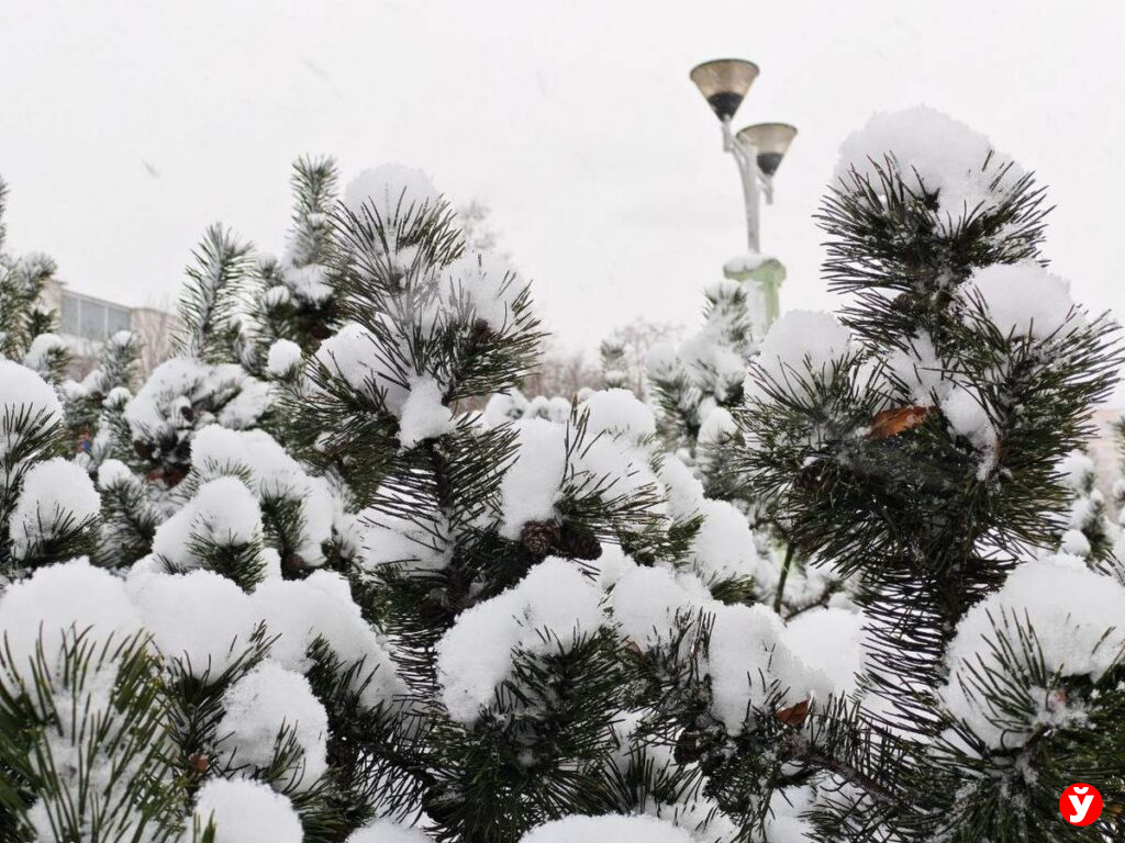 Метели и до 40 см снега: Рябов предупреждает о снежной декаде января