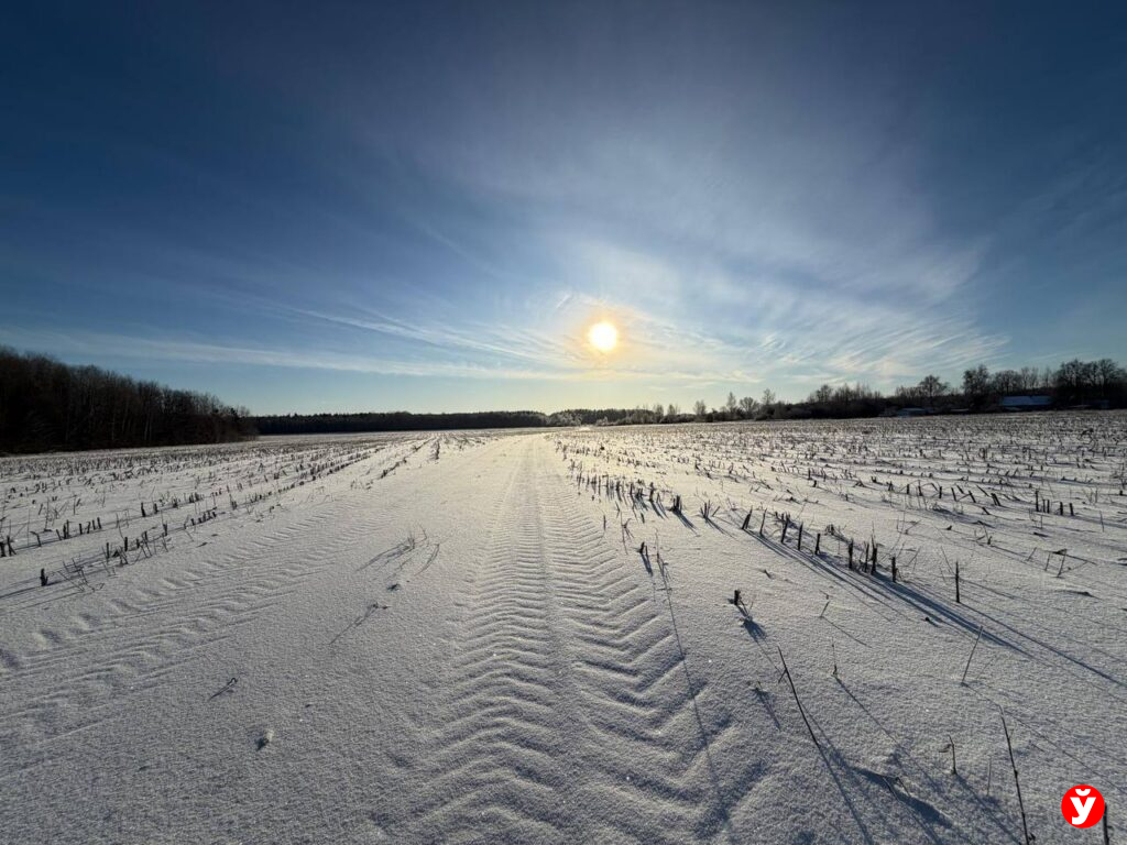 6 января в Беларуси ожидаются снегопады и гололёд