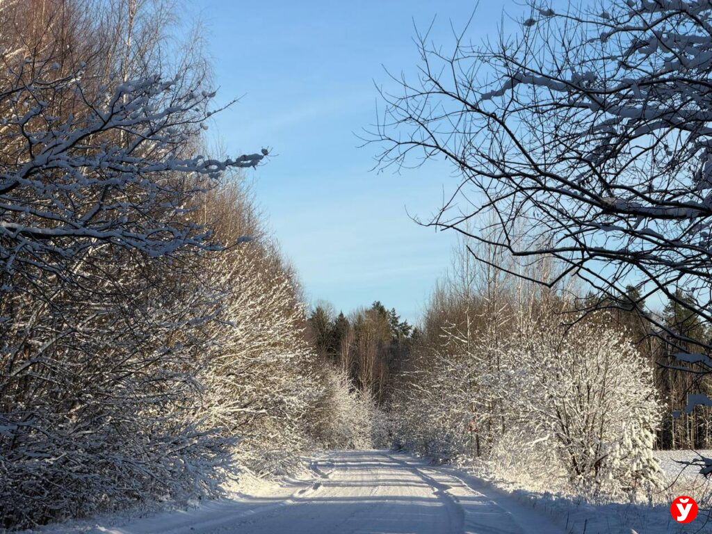 Снег на даче: когда его нужно убирать и в каких случаях лучше не трогать