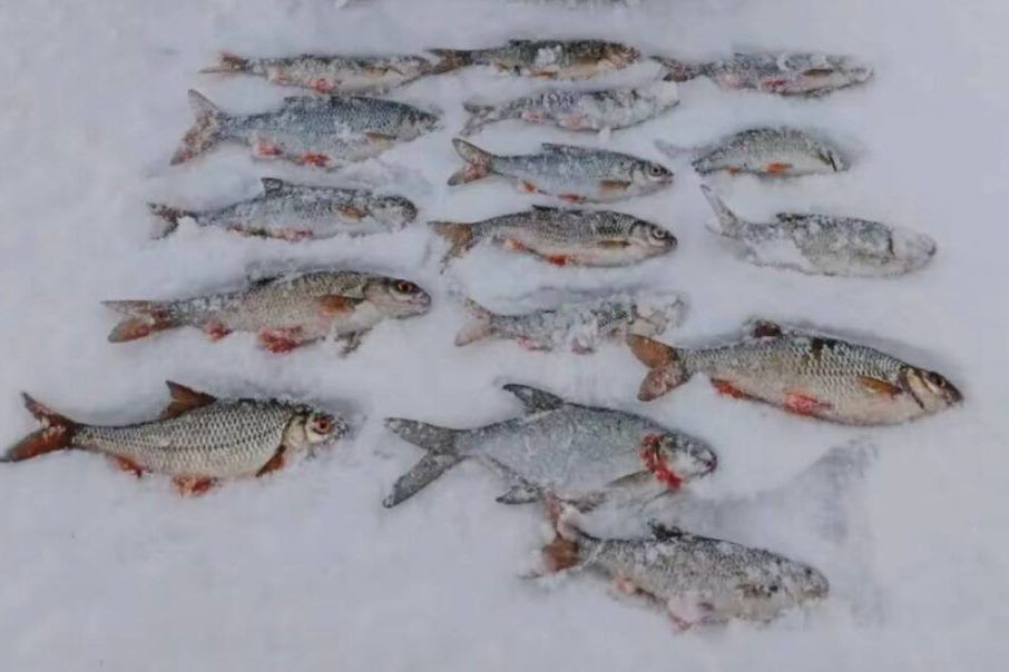 Рыбалка на грани риска: как ловят рыбу на Минском море, несмотря на тонкий лед