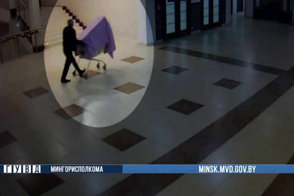 Белорусский Гринч украл в минском ТЦ 18 искусственных елок — он выносил их под покрывалом