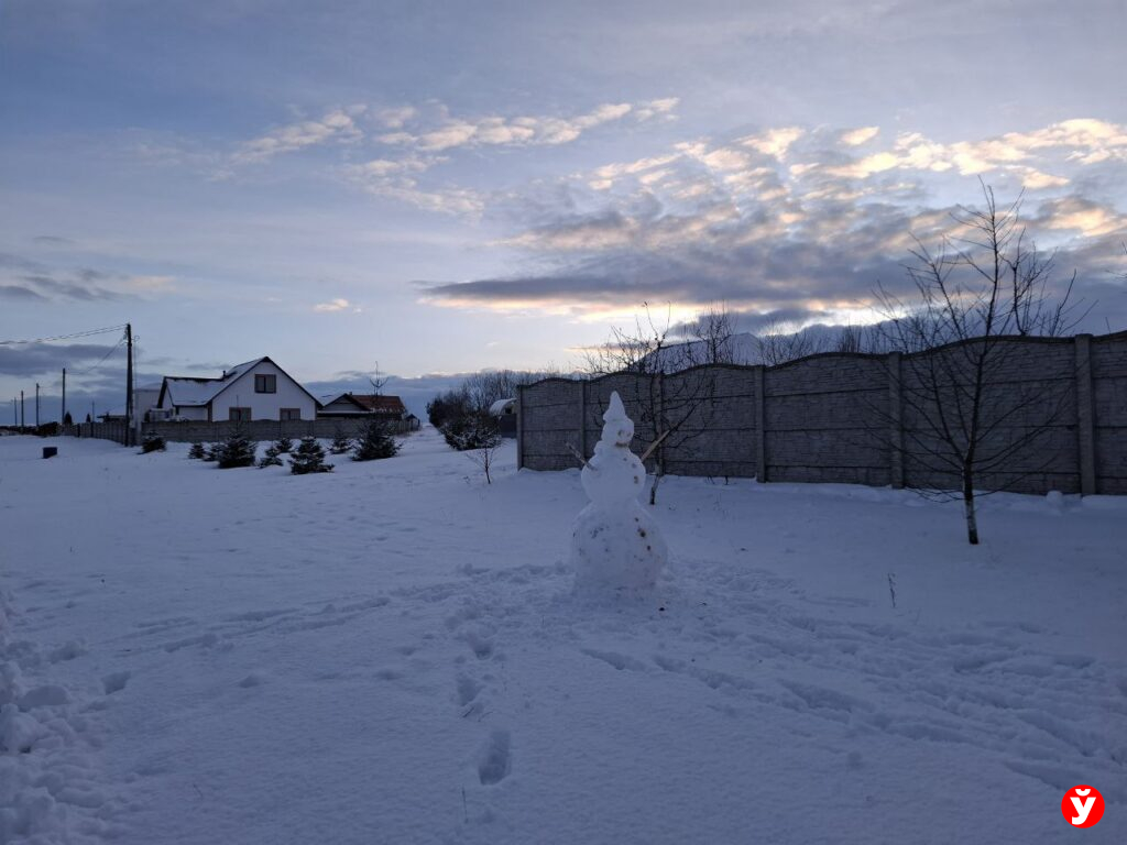 Кто должен чистить снег на дорогах в садоводческих товариществах