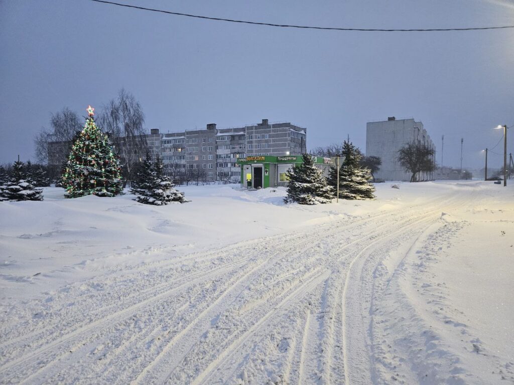 Сильный снегопад и работа без остановки: как в Молодечно устраняют последствия циклона