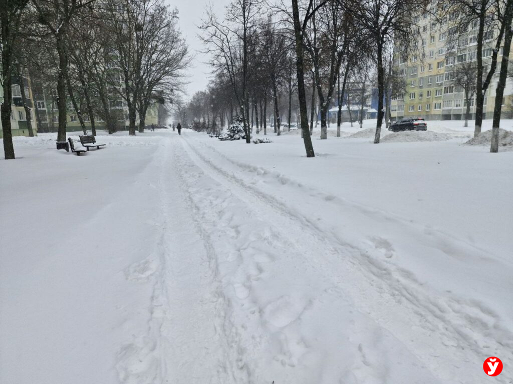 443 машины и почти 2 тысячи работников ЖКХ: как Минщина справляется со снежным циклоном