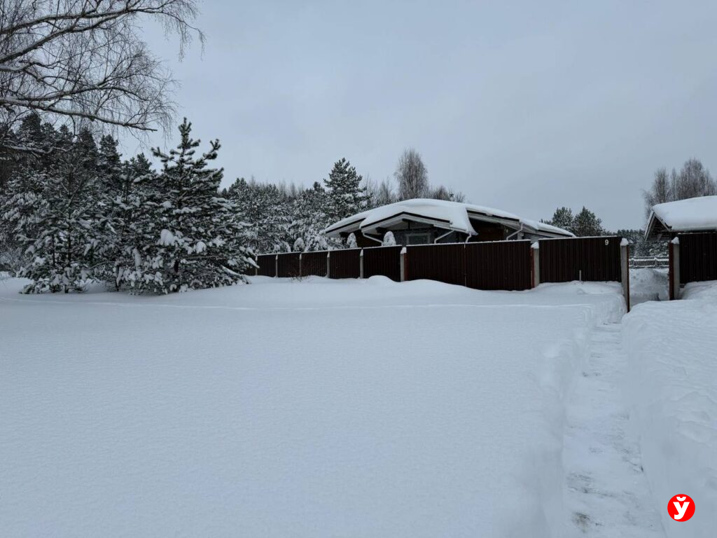Морозы до минус 25 и и гололедица: синоптики предупредили о погоде в Беларуси 12 января