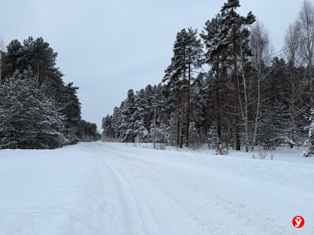 Скользко и морозно: гололедица накроет Беларусь 13 января