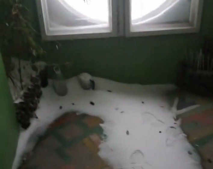 Зима пришла в подъезд. Как снег оказался на пятом этаже в Борисове и что обещают чинить