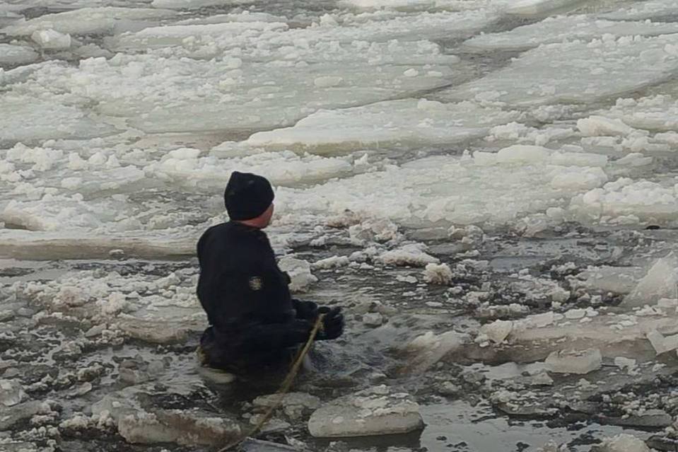 В Минске найдено тело девушки: одежда совпадает с той, в которой пропала Яна Костренкова