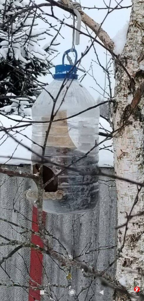 Птичья столовая в Крупках