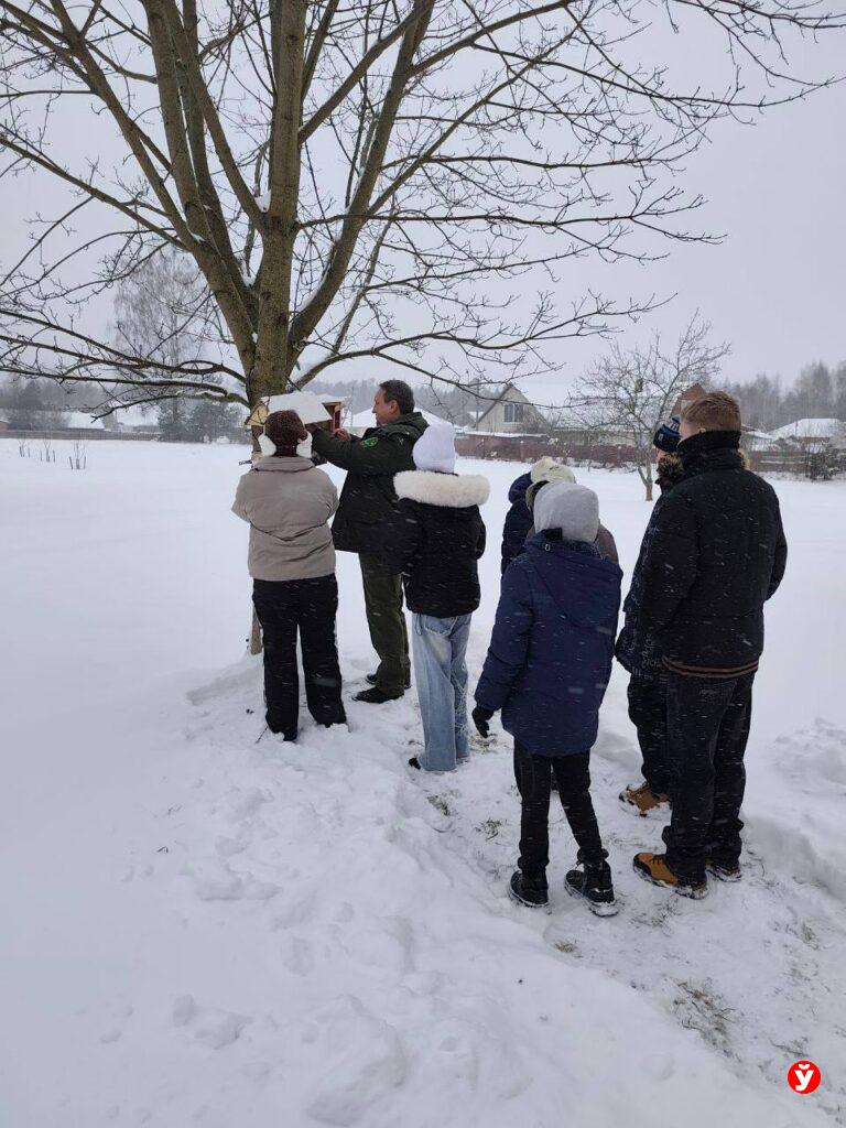 Птичья столовая в Крупках