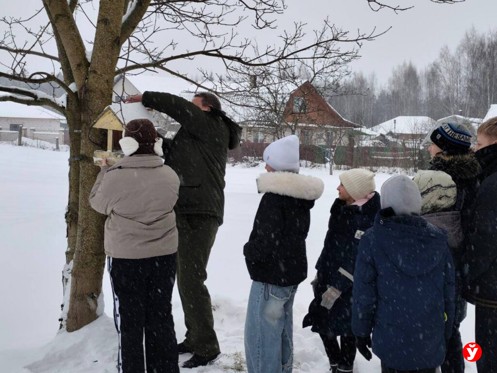 Птичья столовая в Крупках