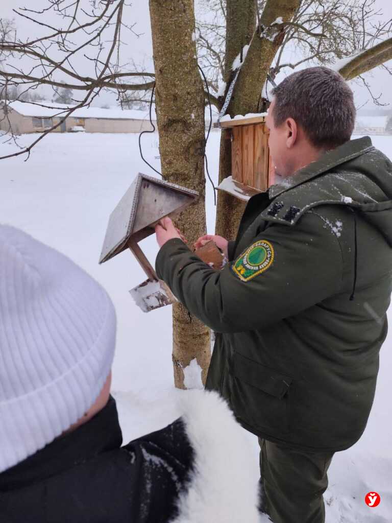 Птичья столовая в Крупках
