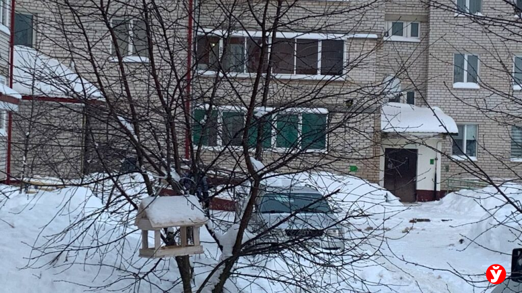 Птичья столовая в Крупках