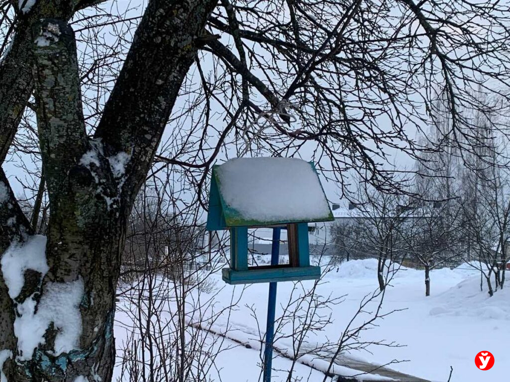 Птичья столовая в Крупках