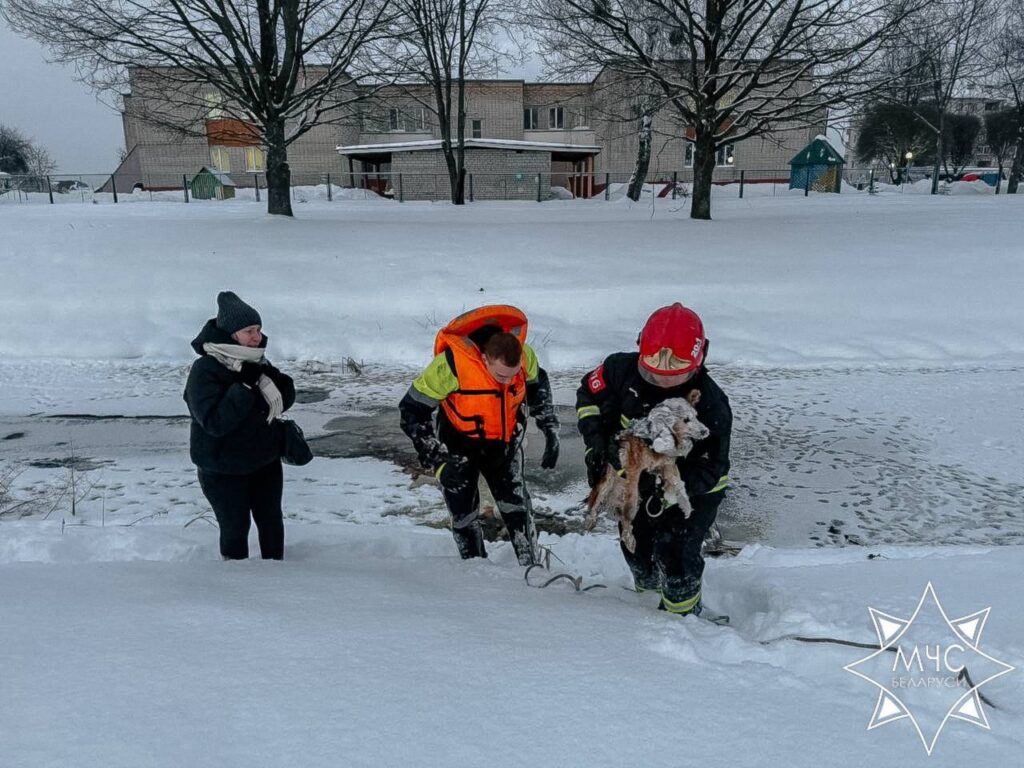 В Старых Дорогах спасатели вытащили провалившуюся под лед собаку