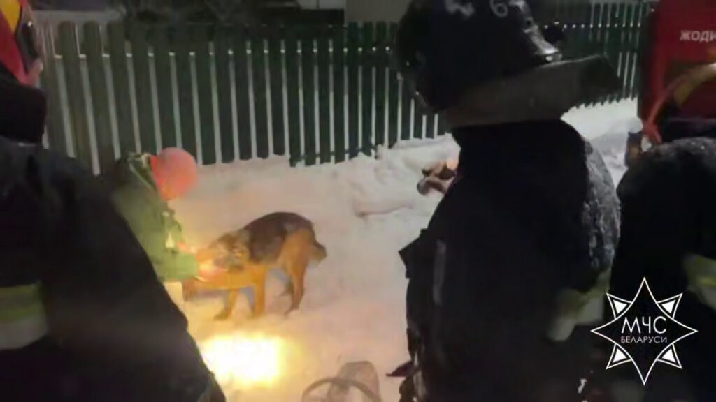 Спасатели вызволили собаку из колодца в Жодино