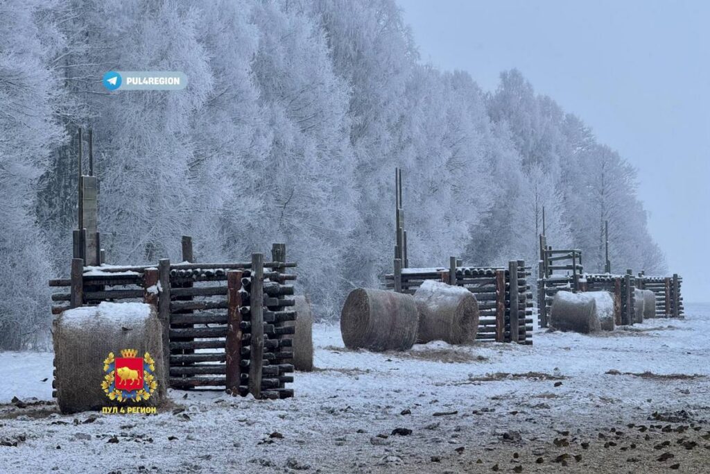 В Гродненской области зубров спасают от голода десятками тонн специального корма