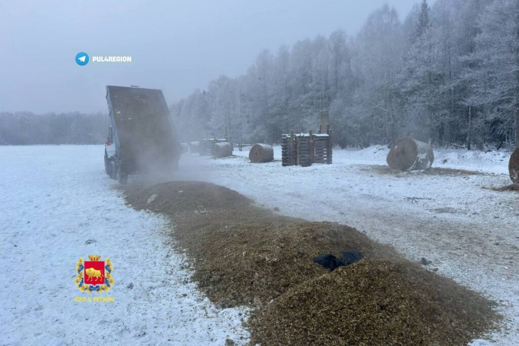 В Гродненской области зубров спасают от голода десятками тонн специального корма