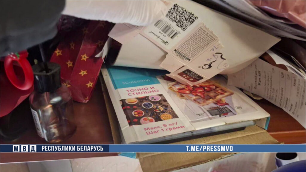 Интернет-подработка обернулась арестом: в Гомеле задержали 21-летнюю жительницу областного центра