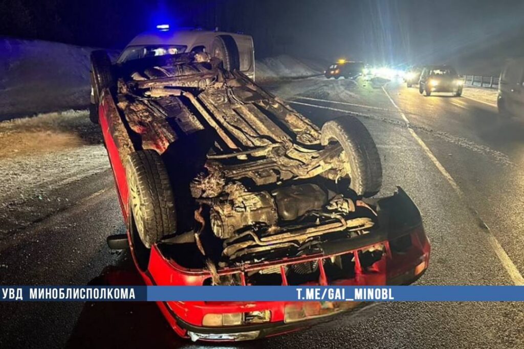 На трассе Минск – Слуцк водитель наехал на мертвого лося и перевернулся