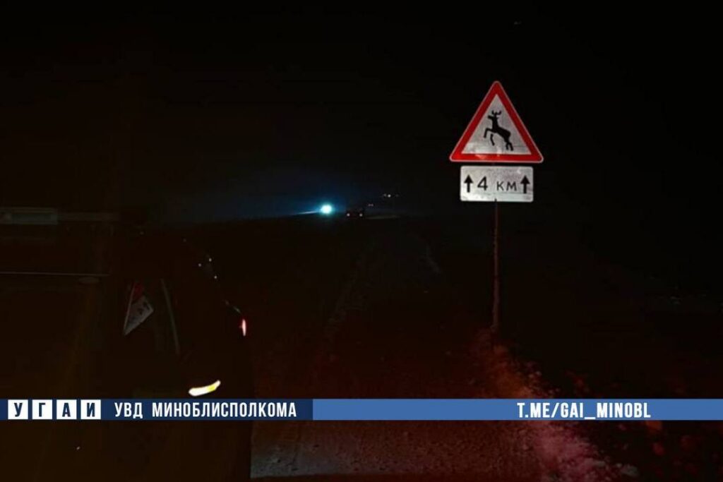 На трассе Минск – Слуцк водитель наехал на уже лося и перевернулся