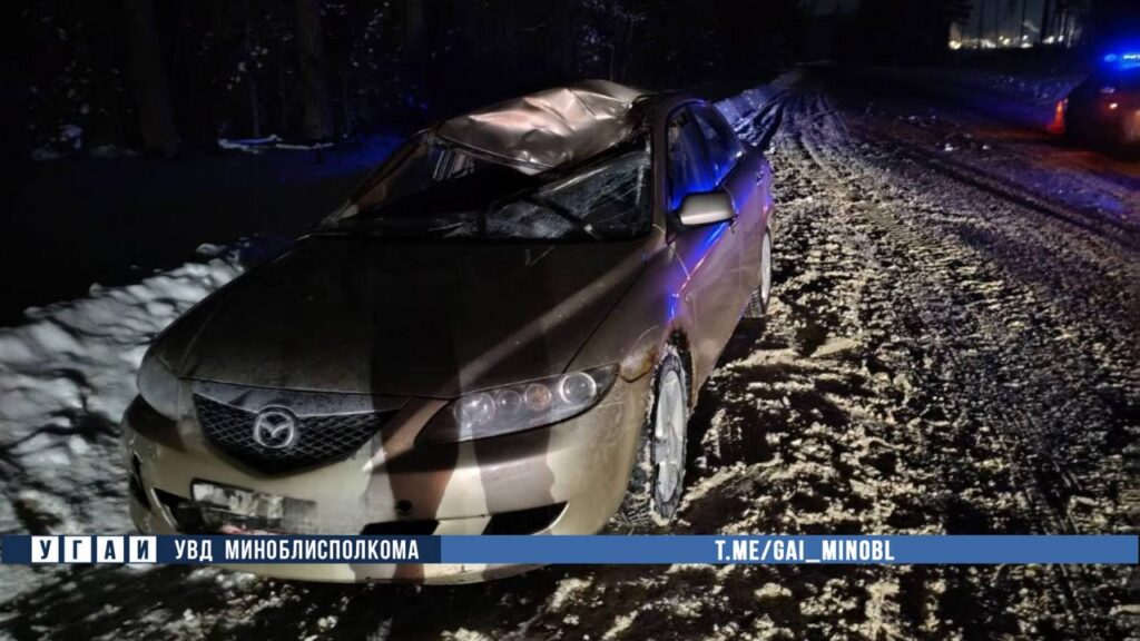 Лось выбежал на трассу: в Березинском районе водитель Mazda оказался в больнице