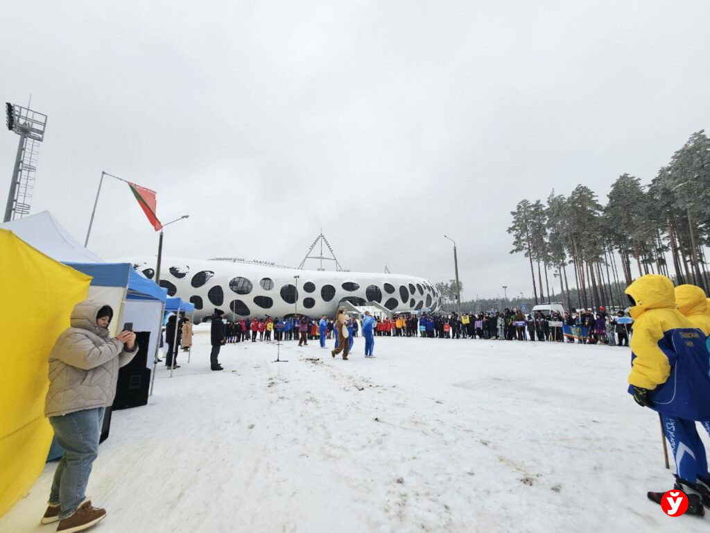 Снежный снайпер