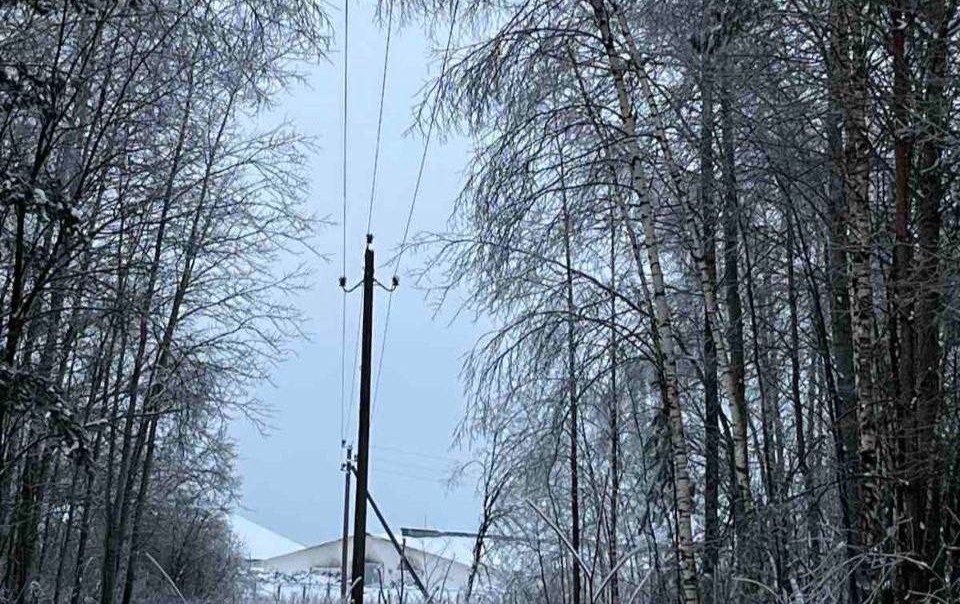 Свет вернули в 450 населённых пунктов: Лукашенко доложили о восстановлении энергоснабжения