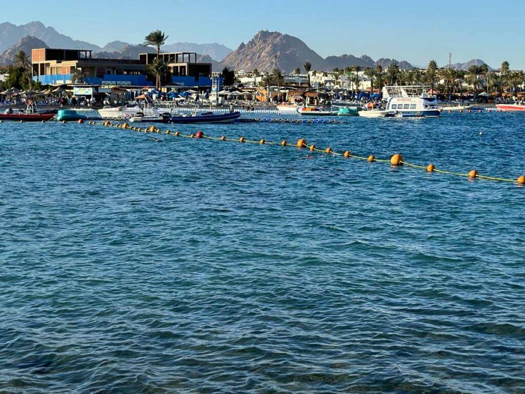 Из зимы в лето: посчитали, во сколько обходится отдых в Египте в самый бюджетный сезон