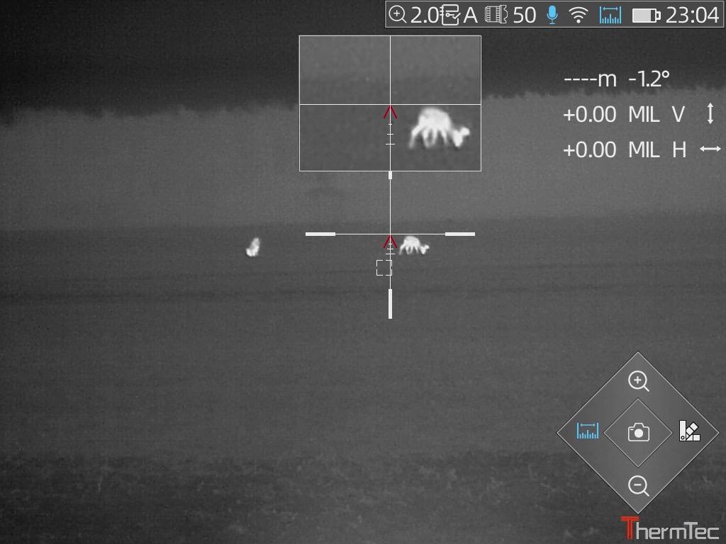 прицел ружья