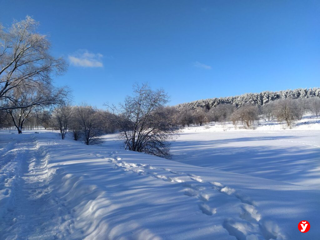 До минус тридцати на рассвете: что ждёт белорусов в первую субботу февраля