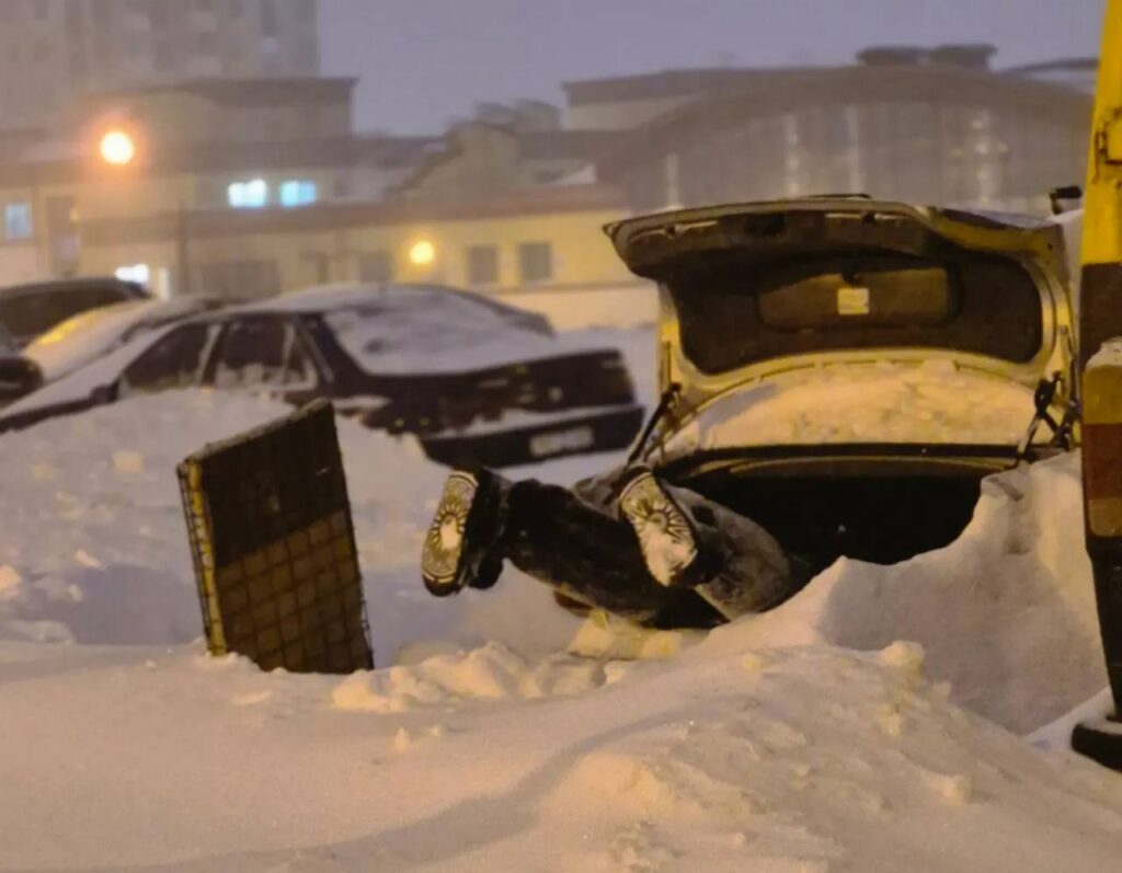 Собачьими упряжками, отжиманиями и позитивом. Белорусы делятся в сети, как справляются с непогодой