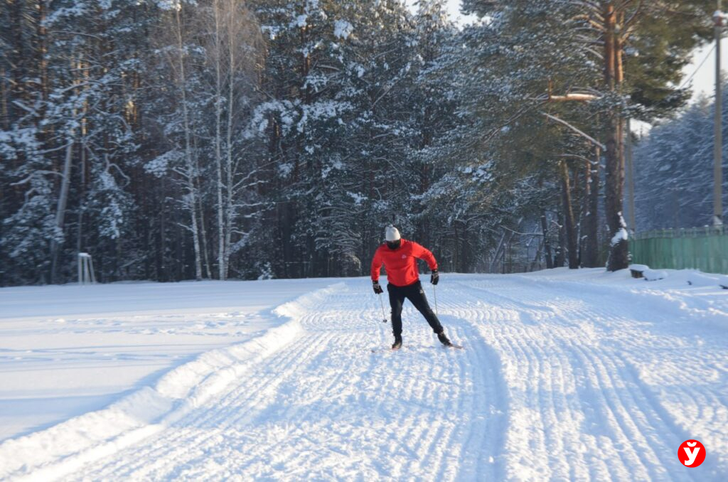 «Сделаю, как у Президента!»: депутат из Крупского района на тракторе укатал в лесу лыжную трассу
