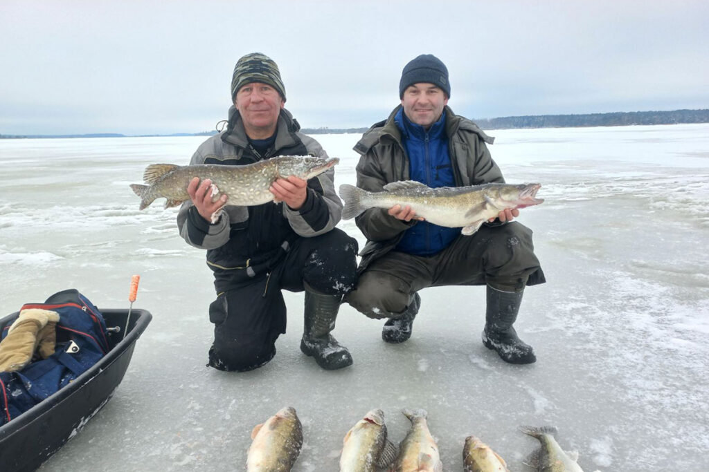 Ловец поделился результатом подледной рыбалки на Вилейском водохранилище