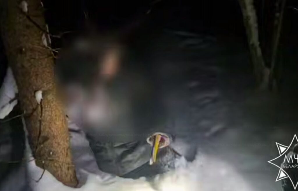 19-летнего парня искали ночью в лесу под Минском