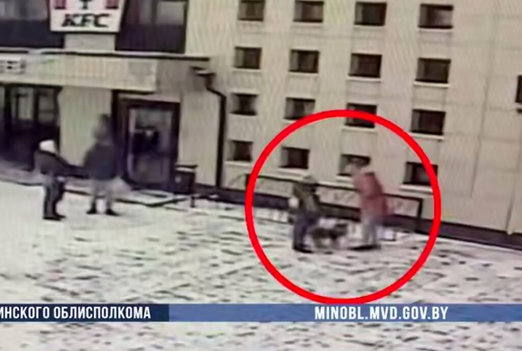 Слутчанка украла шпица у ТЦ «для компании» своей собаке