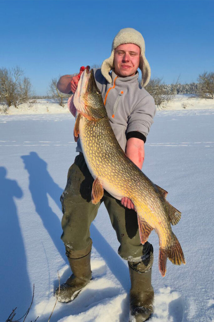 Белорусские рыбаки на морозе –20 градусов поймали «крокодила» в Днепре 