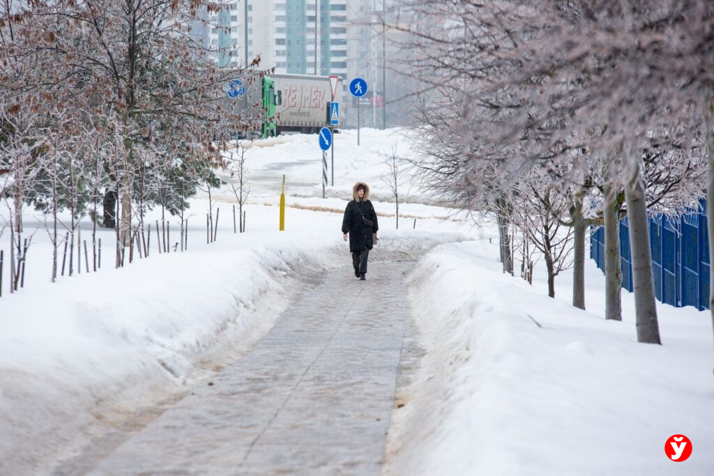 Опасный вирус из тропиков: грозит ли Беларуси вспышка Нипах?
