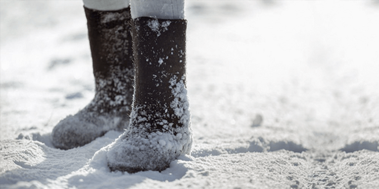 Онлайн-шопинг под снегом: как белорусы скупали лопаты и валенки на Wildberries