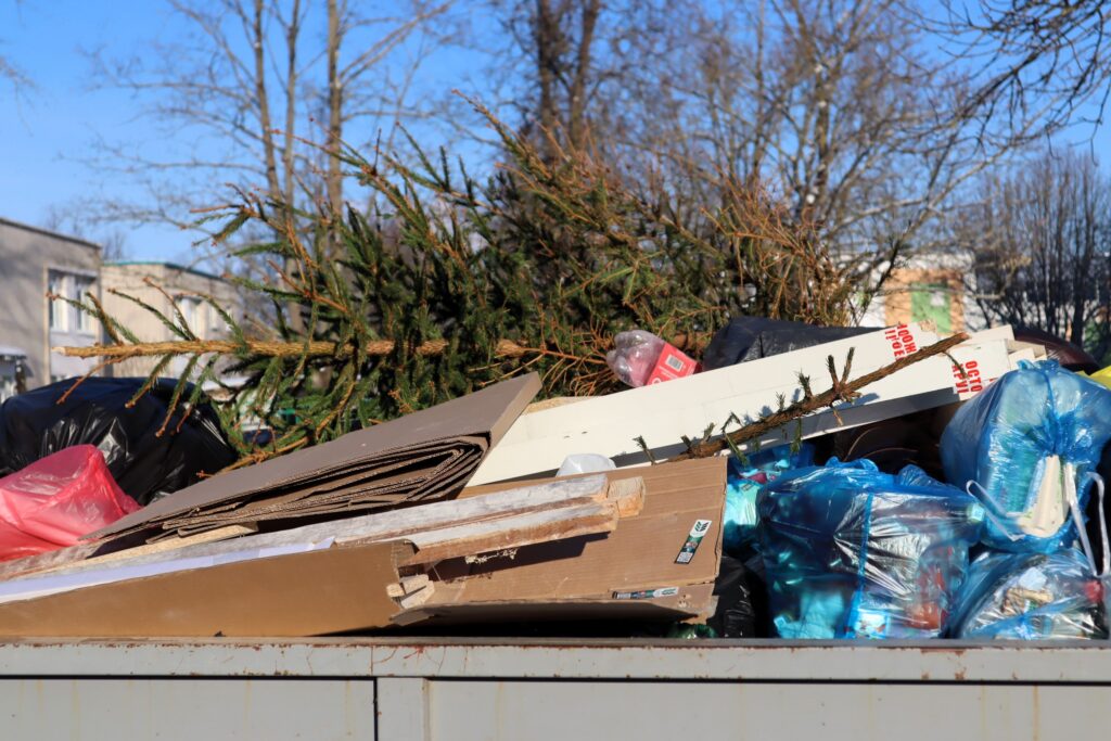 Ёлки повсюду: почему в Молодечно после праздников не найти «чистой» мусорной площадки