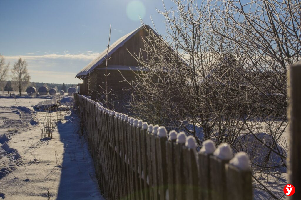 95% кооперативов получили четкие границы на карте — что изменилось для дачников?