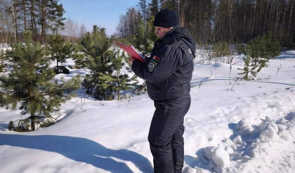 Охотничий азарт дорого обойдётся бобруйчанину: за убитую рысь ему грозит уголовное дело