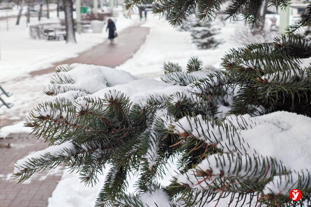 Не только города: 445 тысяч абонентов Минской области уже пользуются скоростным оптоволокном