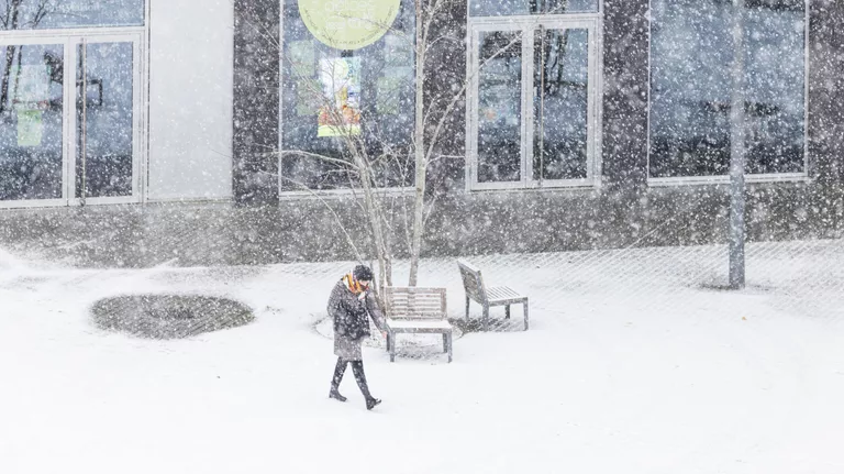 Спустя 200 лет борьбы за равноправие во Франции женщинам снова велели рожать