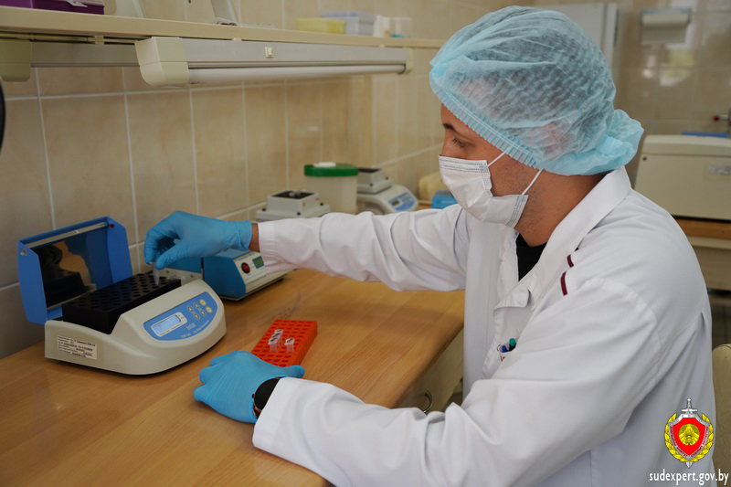 Как россиянину пришлось через суд доказывать родство с ребёнком, рождённым в Беларуси