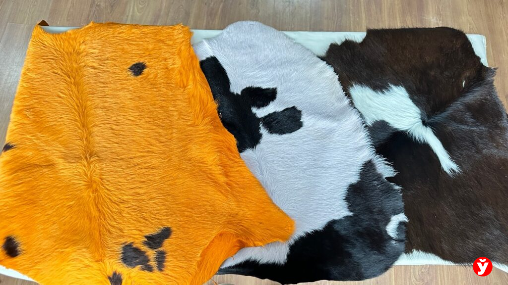 Кожа с волосяным покровом