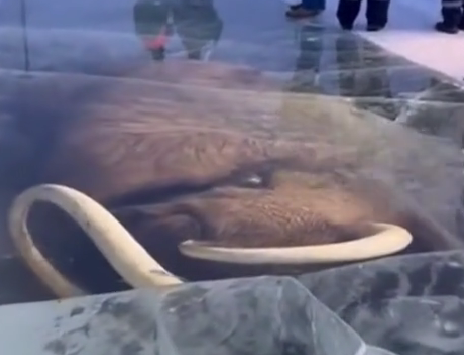 Мамонт под Бобруйском и НЛО в Минске — как нейросети снова запутали людей