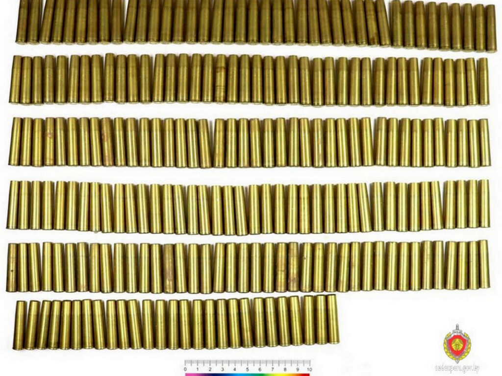 Жительница Мозырского района нашла внушительный склад патронов во время уборки в доме