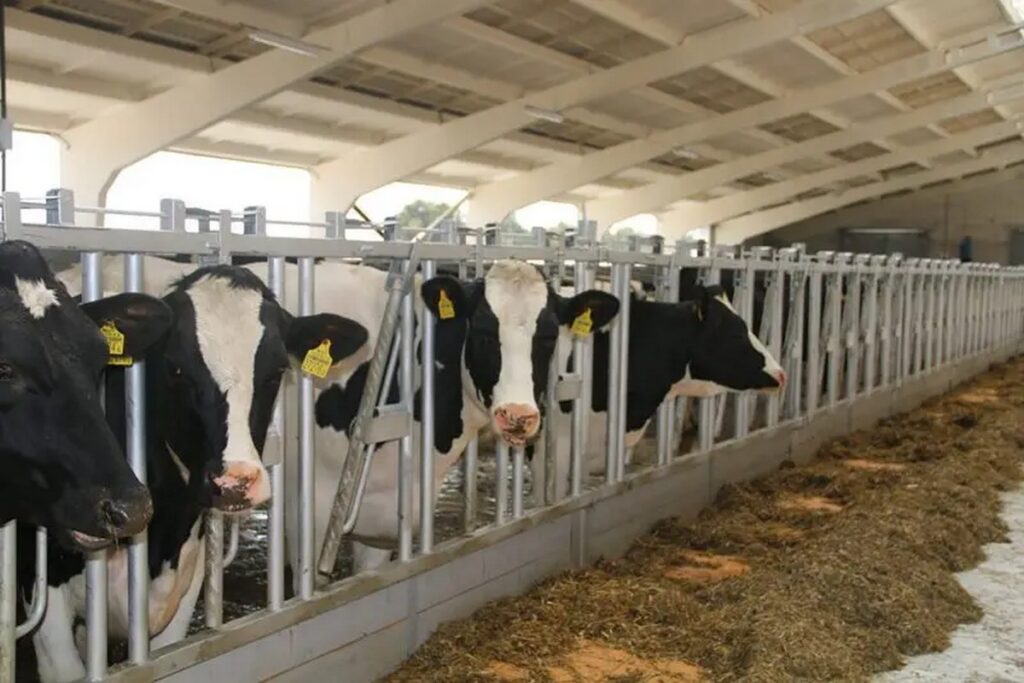 От ремонта крыш до водопровода: какие «слабые места» выявил КГК на сельхозпредприятиях Минщины